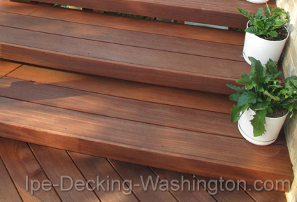 Cumaru Decking in Washington