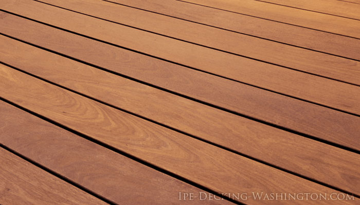 Closeup of Ipe Deck Boards in Washington